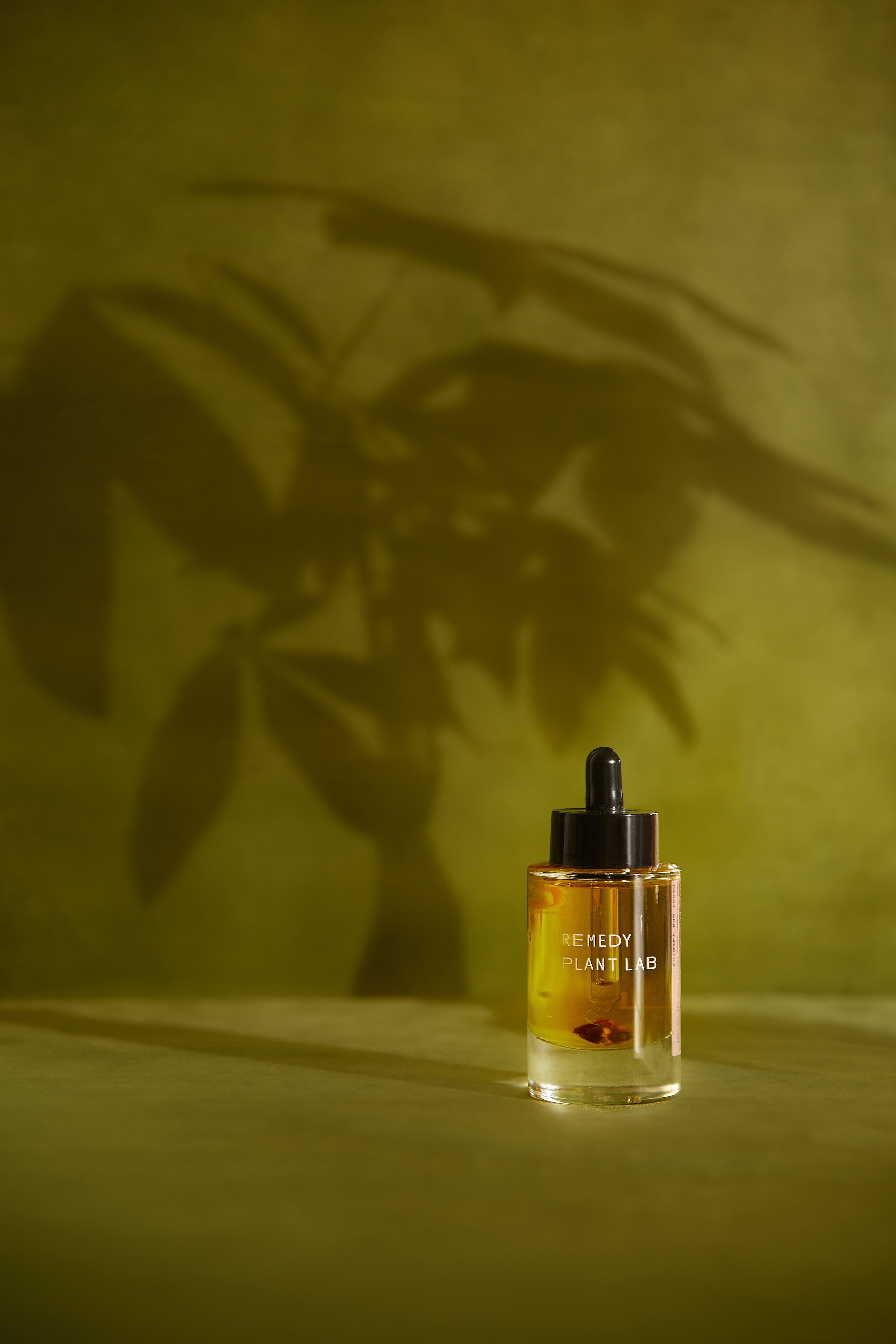 Hair + Scalp Therapy with Hemp Oil 50ml